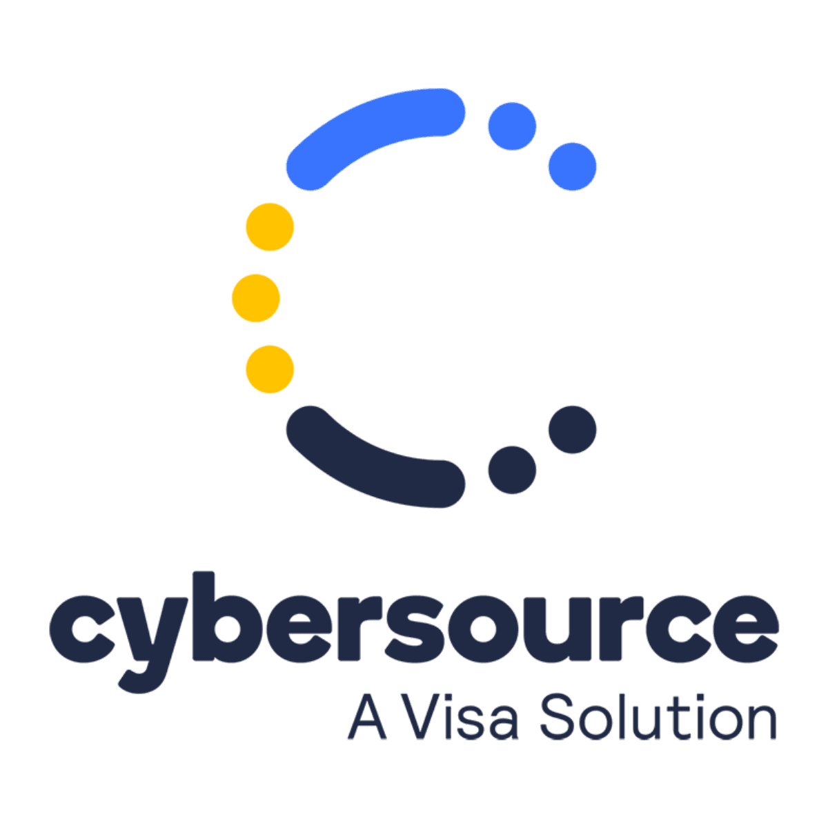 Visa CyberSource Payments